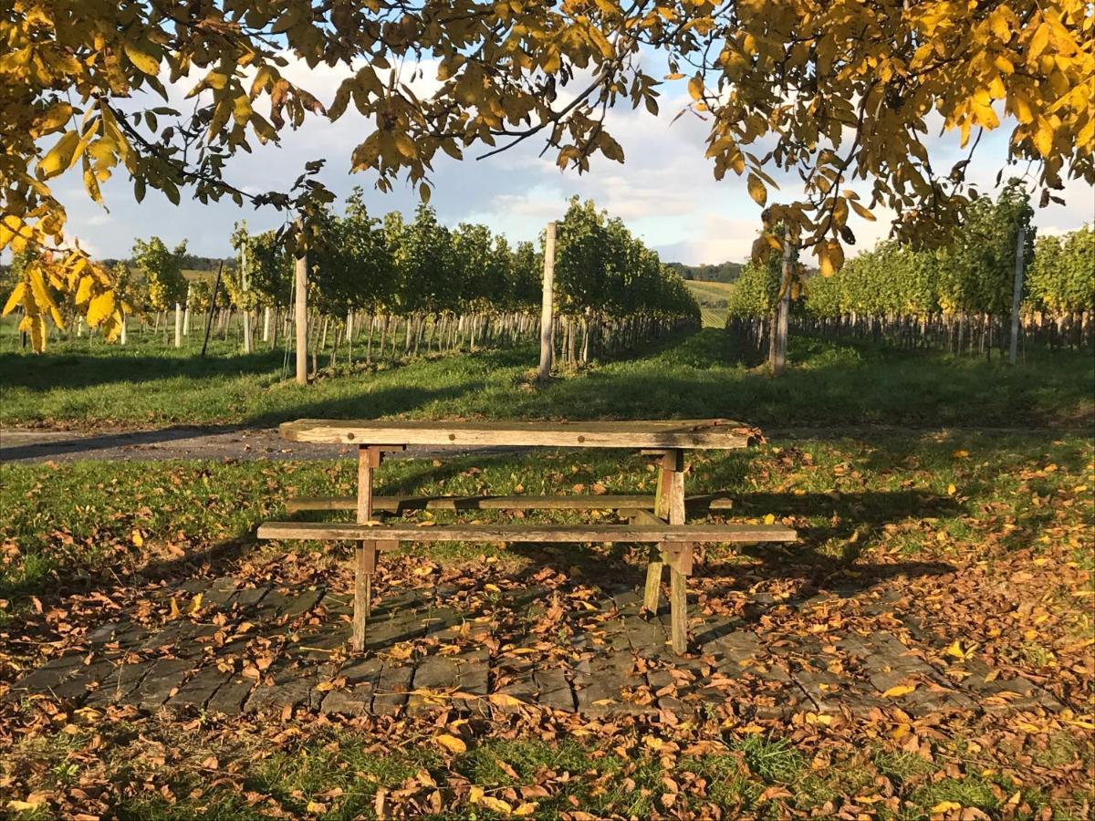 Weingut & Gastezimmer Edelmann Göttlesbrunn Exterior foto